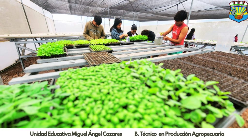 Students in Galapagos work in the hydroponics greenhouse.