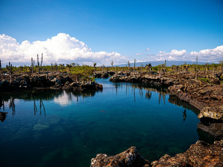 Isabela Island (Photo by Bjarn Bronsveld/Unsplash